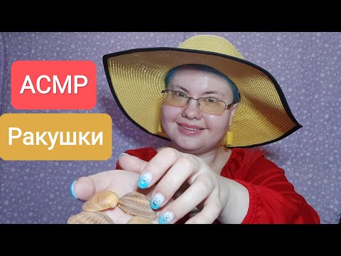 Видео: АСМР Триггеры с ракушками