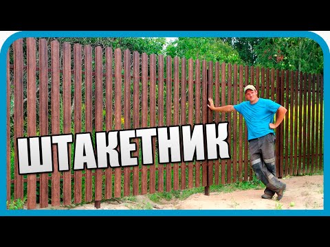 Видео: КРАСИВЫЙ И ВЕЧНЫЙ ЗАБОР-ШТАКЕТНИК ДЛЯ ДОМА МЕЧТЫ И СОСЕДЕЙ