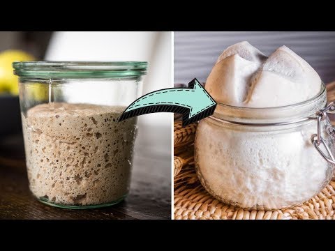 Видео: Как из ржаной закваски сделать пшеничную Левито Мадре 50% влажности / Как быстро перекормить leaven