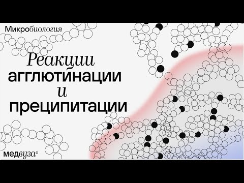 Видео: Реакция агглютинации и преципитации | Иммунология
