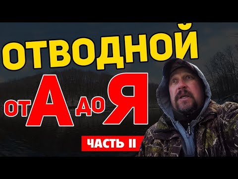 Видео: Когда отводной поводок лучше микроджига? Ловим много окуня зимой Часть 2