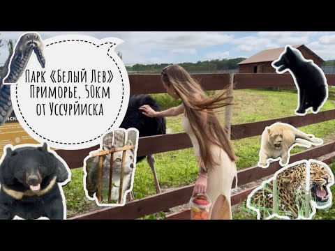 Видео: Приморье, Парк «Белый Лев», небольшая экскурсия 🙌