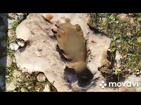 Видео: ЗАЧЕМ МАТРИЦА МЕНЯЕТ ТЕХНОЛОГИЧНЫЕ УКЛАДЫ⁉️