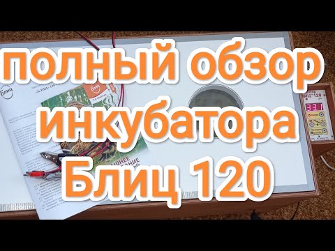 Видео: Обзор инкубатора Блиц 120  ц10