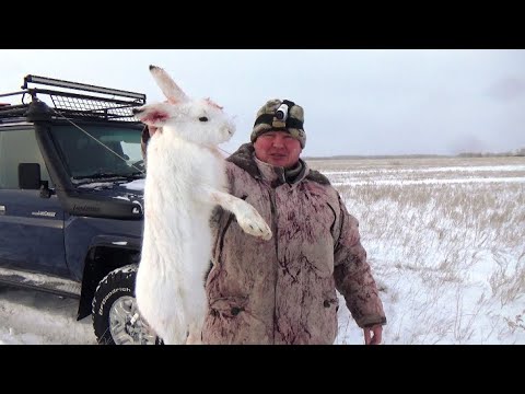 Видео: Добыли зайца и приготовили его. Простой рецепт от бабушек.