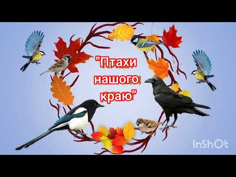 Видео: Бесіда Птахи нашого краю 