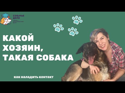 Видео: Какой хозяин - такая и собака!