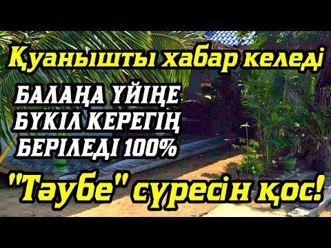 Видео: Алладан өзіңе балаңа керегіңді сұра бәрін беріп 100% қуанышты хабар келеді 2)