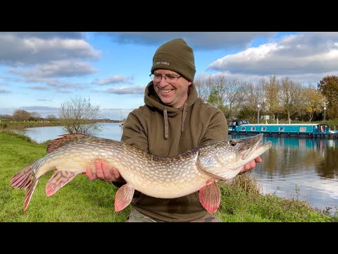 Видео: Ловля судака и щуки на реке Эйвон на КРУГЛЫЕ КРЮЧКИ!