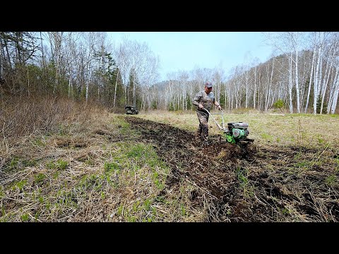 Видео: НАШЛИ СТАРИННЫЕ ПРЕДМЕТЫ ПРИ ВСПАШКЕ. ТЕПЕРЬ У НАС В ДВА РАЗА БОЛЬШЕ ПОЛЕЙ ДЛЯ ЗВЕРЯ.