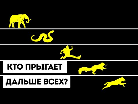 Видео: Пауки умеют прыгать выше вас