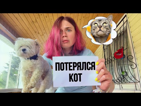 Видео: влог: ПОТЕРЯЛСЯ СЛАДУНЯ! САМЫЙ ЛЮБИМЫЙ КОТ БЕЗ ЛАПКИ 😭