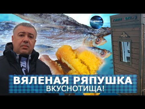 Видео: Бесподобная вяленая ряпушка. Приготовление в коптильне с турбосеткой. ФАВ пищевое оборудование.