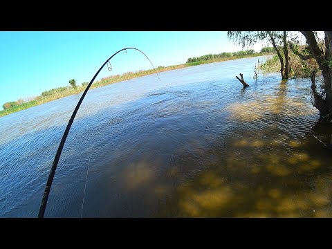 Видео: РЫБАЛКА УШЛА В МИНУС 70 ТЫСЯЧ. НЕРЕСТОВЫЙ ЗАПРЕТ.