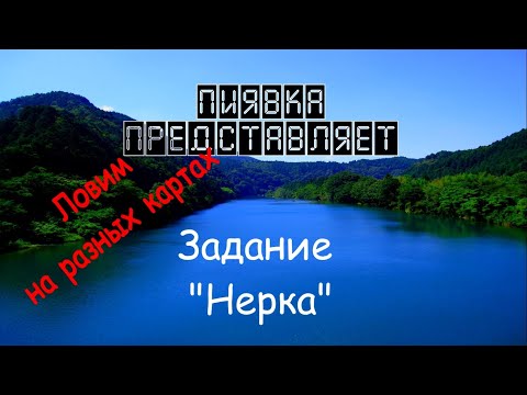 Видео: НЕРКА на разных локациях #MyFishingworld