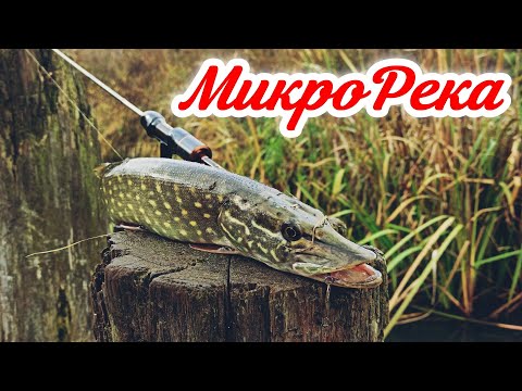 Видео: Пошел ловить ГОЛАВЛЯ, а попал на раздачу ЩУКИ! Предзимняя микроречка удивляет!