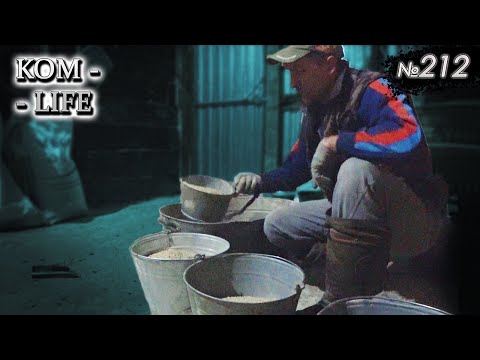 Видео: Состав комбикорма для поросят, спустя 20 лет свиноводства!