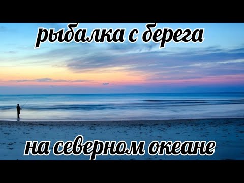 Видео: Рыбалка на северо-ледовитом океане запрещенными снастями .