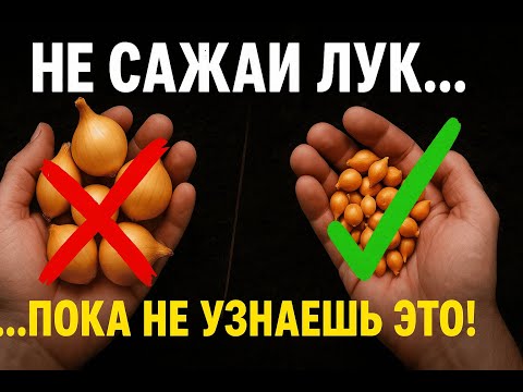 Видео: НЕ САЖАЙТЕ ЛУК ПОД ЗИМУ! 99% дачников совершают эту ошибку и теряют весь урожай.