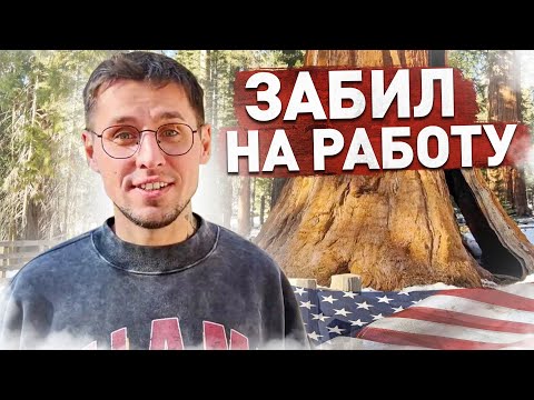 Видео: Не вышел на работу в США / Разбил дрон / Дальнобой по США