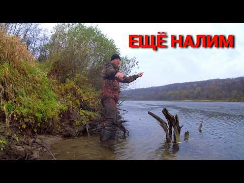 Видео: ДУМАЛ ЗВЕРЬ УТАЩИЛ ДОНКУ. Ловлю НАЛИМА на ЖИВЦА ночью. Рыбалка на ОКЕ осенью.