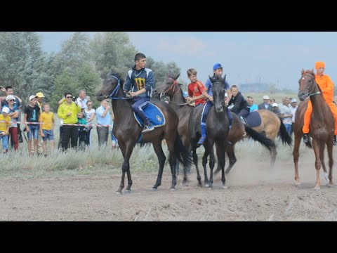 Видео: Соль- Илецк.Скачки.