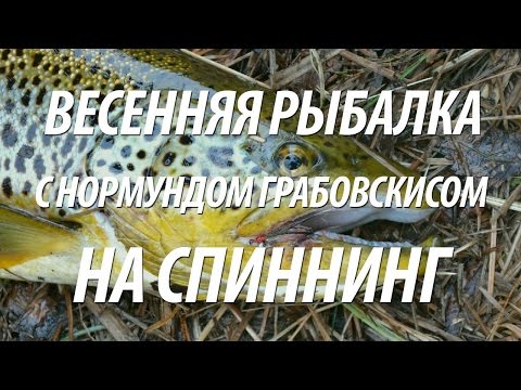 Видео: РЫБАЛКА ВЕСНОЙ НА СПИННИНГ С НОРМУНДОМ ГРАБОВСКИСОМ. СПИННИНГОВАЯ ЛОВЛЯ В МАРТЕ ЛОСОСЯ, КУМЖИ