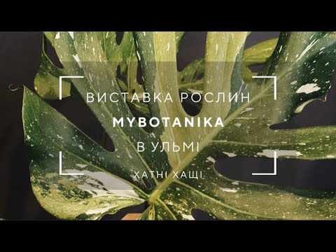 Видео: Огляд рослин на виставці MyBotanika в Ульмі 13.09.25