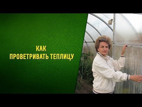 Видео: Как проветривать теплицу