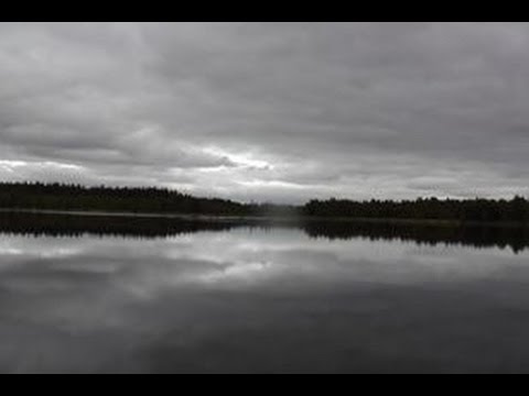 Видео: СЛОЖНАЯ "РЫБИНКА" ! Противье.  Октябрь 2016г .