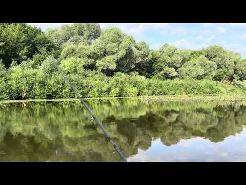 Видео: ОКА потрясающая река 🎣🐟🛶