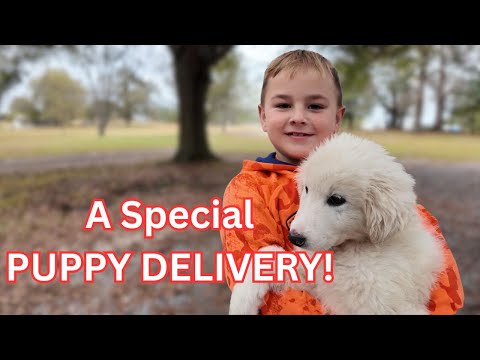 Видео: Представлен ее новый дом FOREVER!