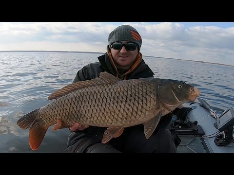 Видео: Огромные САЗАНЫ ПРУТ ТАБУНОМ!!!