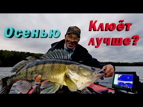 Видео: Наступила осень. Как это повлияло на клёв судака?