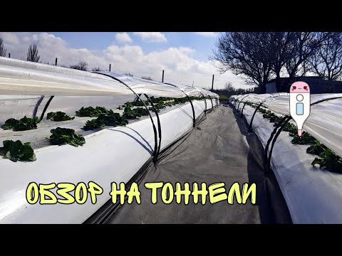 Видео: Обзор на тоннели и градусники для клубники