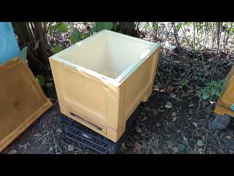 Видео: ППУ-вулик "Бінук": наскільки функціональний #apiary #hives