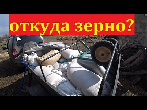 Видео: Откуда зерно? Деревенские будни / Семья в деревне LIFE