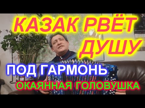 Видео: Окаянная головушка! Про жизнь!