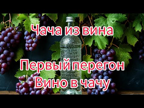 Видео: чача из вина, первый перегон на самогонном аппарате.