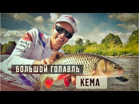 Видео: Большой Голавль. Кема.