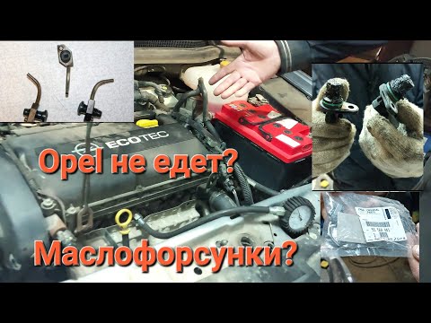 Видео: OPEL не едет и стучит! Маслофорсунки?Фазики? 300000км!