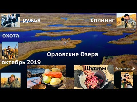 Видео: Охота Большие Озера Октябрь жирные утки