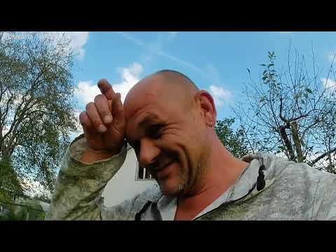 Видео: Заготовка семян махорки.
