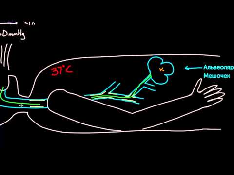 Видео: Уравнение альвеолярного газа, часть 1