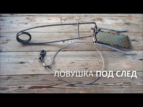 Видео: Ловушка под след | новинка сезона 2023 - 2024