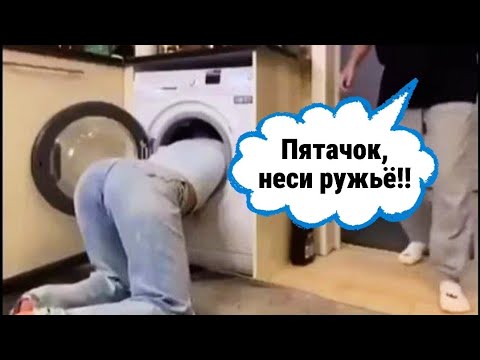 Видео: Стоит ли держать дома бесполезного паразита