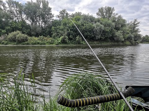 Видео: Рыбалка на реке, самолёты над головой. Река Тобол Курганская область