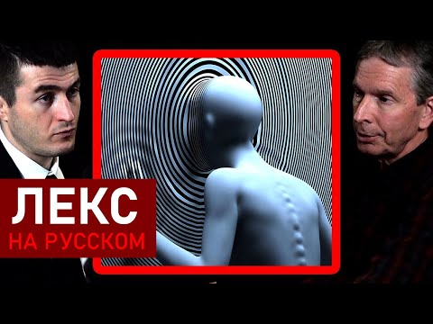Видео: Люди оторваны от реальности | Дональд Хоффман и Лекс Фридман