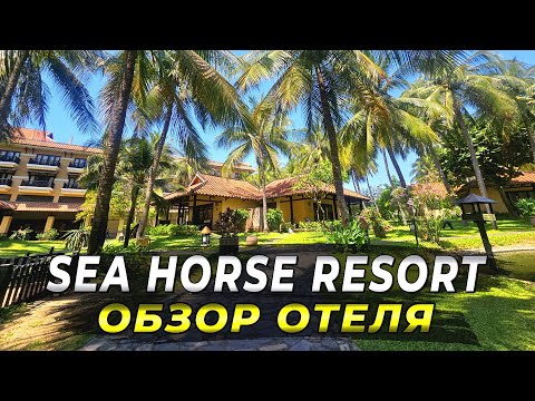 Видео: Отель Sea Horse. Секрет Идеального Отдыха в Муйне 2025