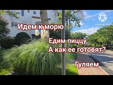 Видео: НЕ ПОЛОПАЕШЬ НЕ ПОТОПАЕШЬ РЕПОРТАЖИ ИЗ ЖИЗНИ FIRST PIZZA AND THEN THE SEA #pizza #sea #spain #wow